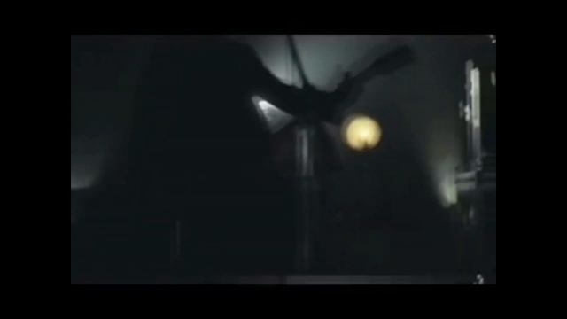 Daron Malakian finally takes a stance on gibbon equality смотреть онлайн