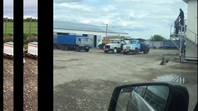 Активности смотреть онлайн