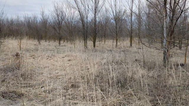 Зарплатное рабство! Или как дать пинка чужому дяде. смотреть онлайн