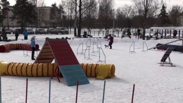Первоапрельское аджилити, 30.03.13 г., СПб, Пискаревская v12 смотреть онлайн