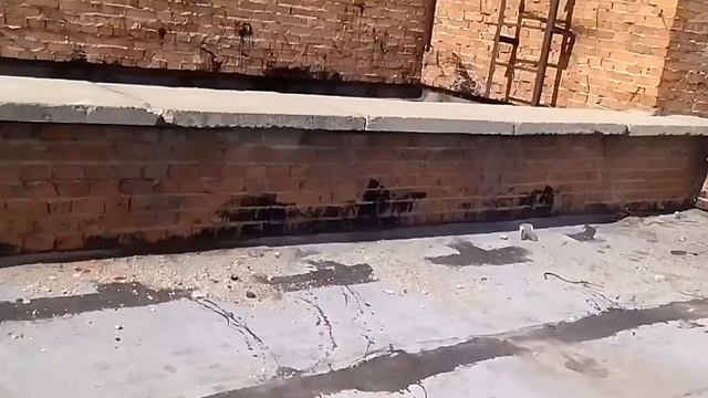 Заброшенный ДК Сибсельмаш в Новосибирске, Покрышкина  2