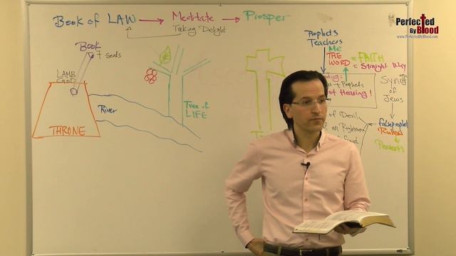 Answered Prayers As The Fruits Of The Tree Of Life (True Biblical Meditation)