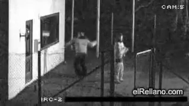 Бронированные пленкой стекла смотреть онлайн