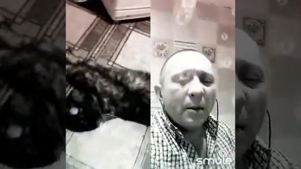 Я весь для тебя Котёнок