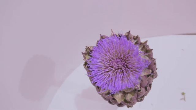 Артишок смотреть онлайн