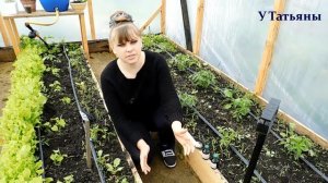 ПЕРЕКИСЬ ВОДОРОДА - СУПЕР УДОБРЕНИЕ для растений!