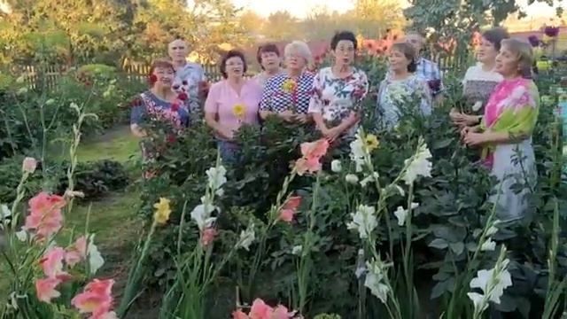 Жизнь моя смотреть онлайн