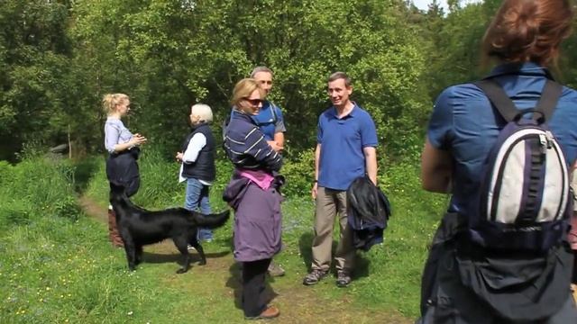 Netwalking Introduction смотреть онлайн