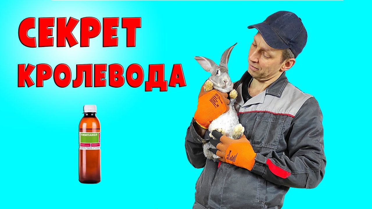 Должно быть у каждого кроликовода! смотреть онлайн
