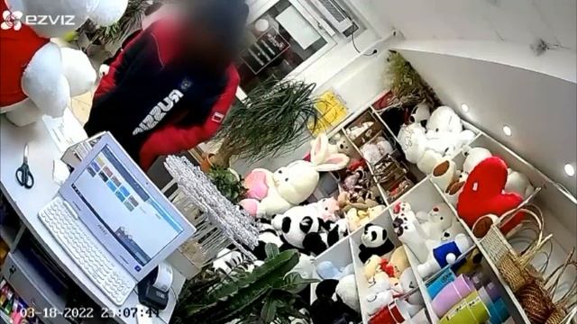 Ограбление цветочного магазина смотреть онлайн