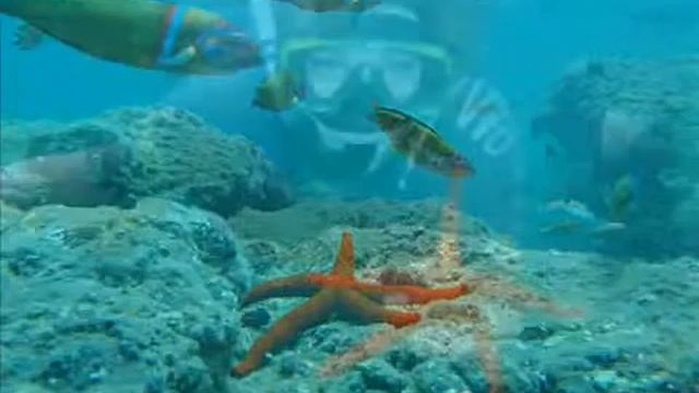 Holidays In Fuerteventura Snorkeling Watersports Fueteventura