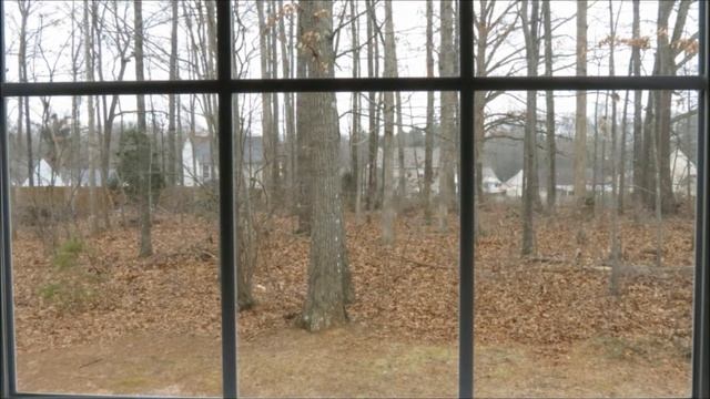 Canon Powershot SX-40 HS HD CHDK Time Lapse - Watching the Ice Arrive смотреть онлайн