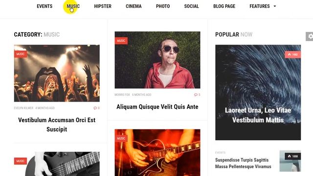 Naomi - Responsive WordPress News Theme With Project Filess смотреть онлайн
