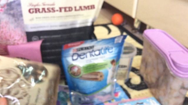 Большие покупки из зоомагазина для собак ??? смотреть онлайн