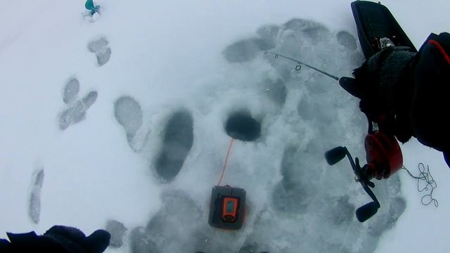 Ловля судака на блесну смотреть онлайн
