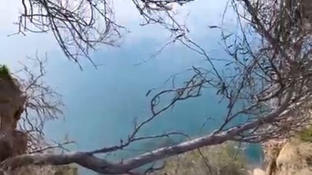 Сравниваю, как реагируют на Симу русские, турки и европейцы/Нормально ли кормить через стому в кафе смотреть онлайн