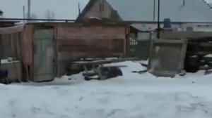 Дед соблазнил бабку