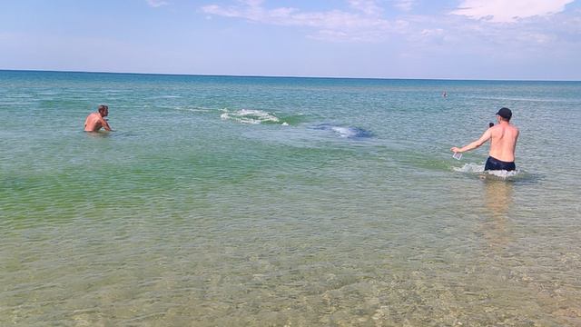 Дельфины в море, красотища. смотреть онлайн