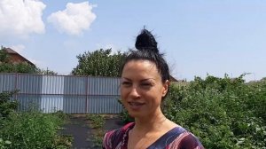 Ежевика Киова  и  Коламбия Стар - сорта от которых я отказалась и почему