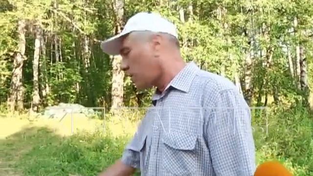 Кровавую свалку нелегальная скотобойня организовала в Кстовском районе смотреть онлайн