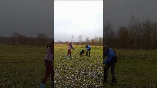 VID_20231103_193759.mp4 смотреть онлайн