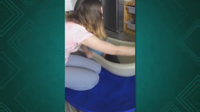 Развивающие игры. Тима 3 г Синдром Дауна . Учим английский язык смотреть онлайн