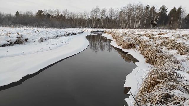 рыбацкий промысел. Добыча живца для щуки. смотреть онлайн
