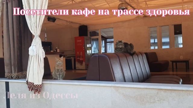 ОДЕССА. 3 июня 2022. СКОЛЬКО РАКЕТНЫХ и ДЕСАНТНЫХ КОРАБЛЕЙ в ЧЕРНОМ МОРЕ смотреть онлайн