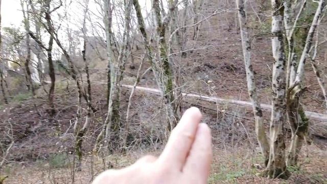 Иду в очаг возгорания! Горная прогулка, обзор посёлков. смотреть онлайн