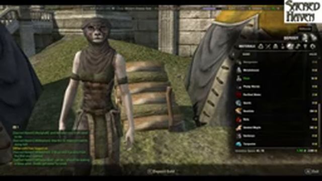 Elder Scrolls Online Early Access Day 1.1 смотреть онлайн