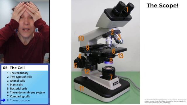 The cell 8- The microscope смотреть онлайн