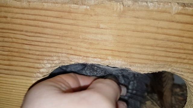 Как Может Измениться Ангора!)) У Морфуши появились Пейсики!))