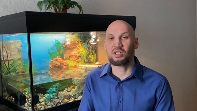 Если ты в печали, друг... #стихи #поэтсовременник #поэзия #викторассоров #вера #любовь смотреть онлайн