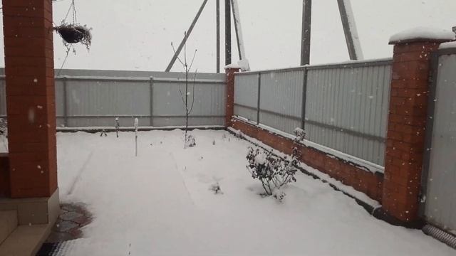 Краснодар заметает снегом. 10.01.21. Меня снег не радует вовсе.