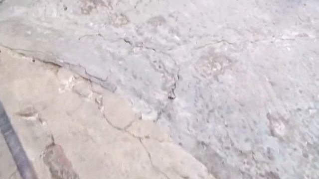 Чистка кондиционера шкода октавияА5