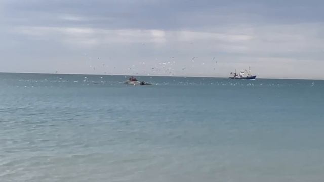 VID-20231209-WA0003.mp4