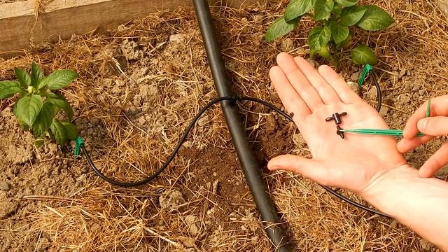 Капельный полив. Из чего состоит и как собрать. смотреть онлайн