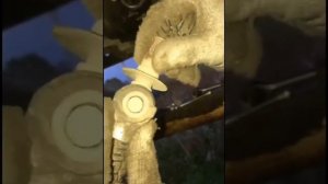 Что делать, если передачи на МКПП стали плохо включаться? На примере ВАЗ.