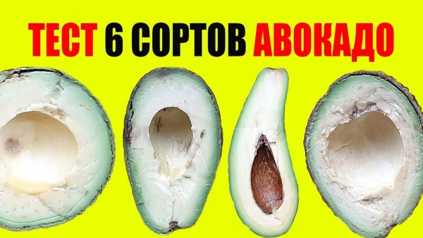 Не Покупайте Авокадо, Если Не Знаете Как Выбрать. Лайфхаки