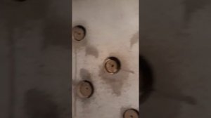 Как укрепить штукатурку.