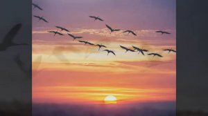 «Не боли душа» - Игорь Слуцкий