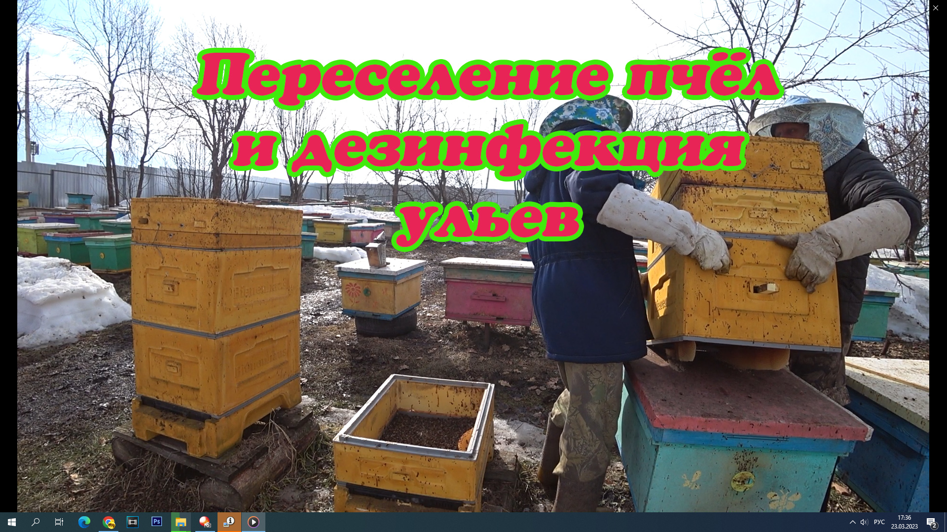 ДЕЗИНФЕКЦИЯ УЛЬЕВ ПОСЛЕ ЗИМОВКИ И ПЕРЕСАДКА В ЧИСТЫЕ УЛЬЯ ПЧЁЛ. смотреть онлайн