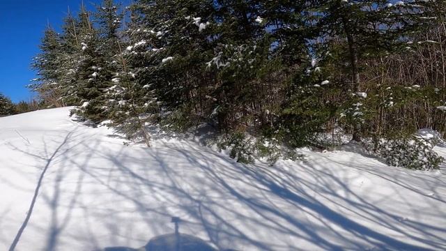 Stuck SkiDoo 900 Ace смотреть онлайн