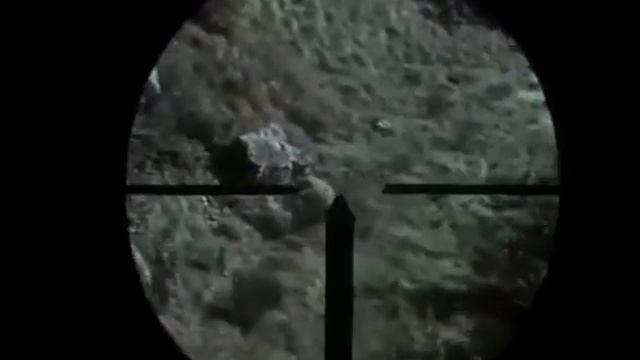 Flashback / Флэшбэк (1969)