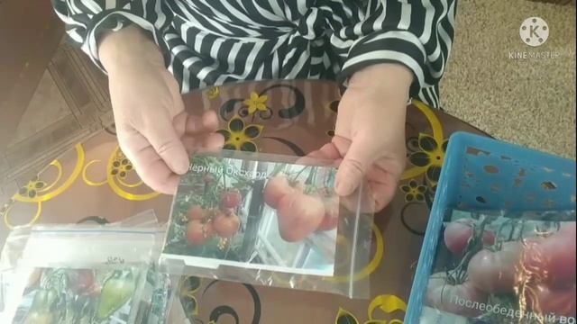 Коллекция экзотических сортов томатов, с которыми я знакома. Какие выбрать? Часть 3. смотреть онлайн