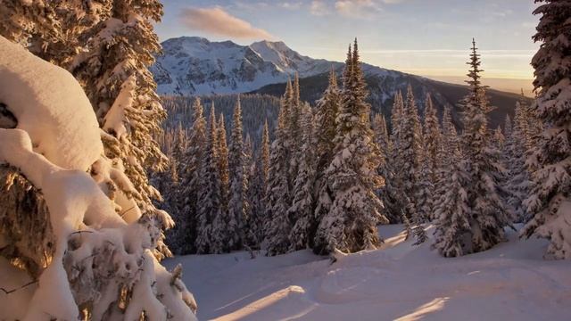 ЖИЗНЬ НА НОВОЙ ЗЕМЛЕ (ЭНЕРГИЯ ЖИЗНИ) смотреть онлайн