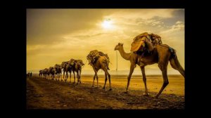 Песня  про  караван  1972 года