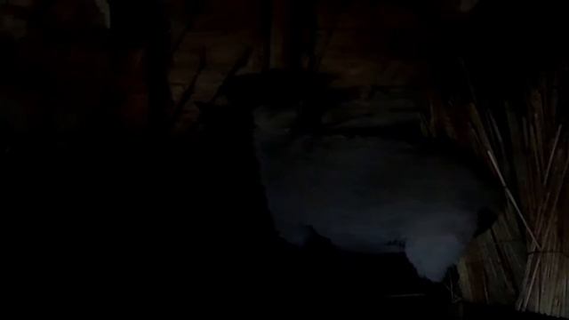 Овца Галина продана! смотреть онлайн