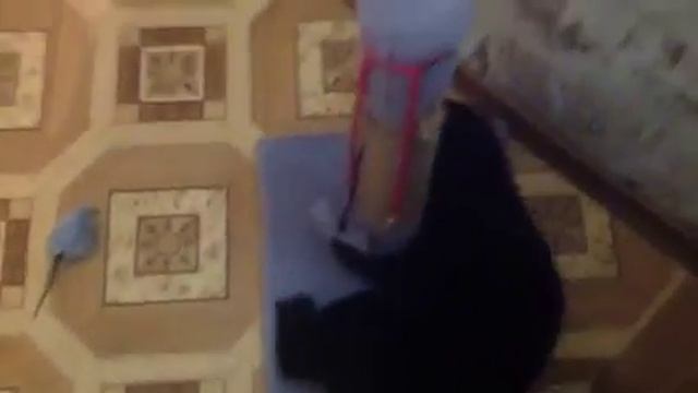 НОВЫЙ ДРУГ МОЕГО ПУШИСТОГО КОТИКА!!!!читайте описание!!?????? смотреть онлайн