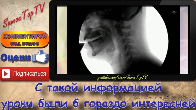 {А знаете ли..} ИНТЕРЕСНЫЕ Вещи, которые ВАЖНО ЗНАТЬ со школы смотреть онлайн